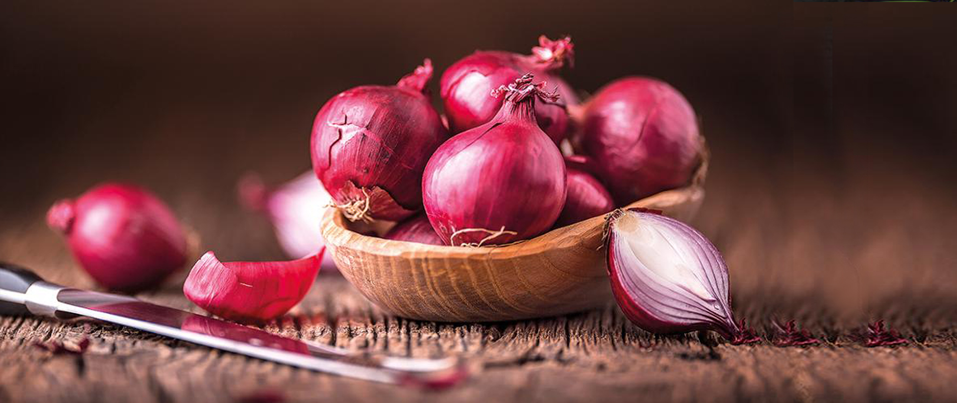 Onion Exporters In chennai