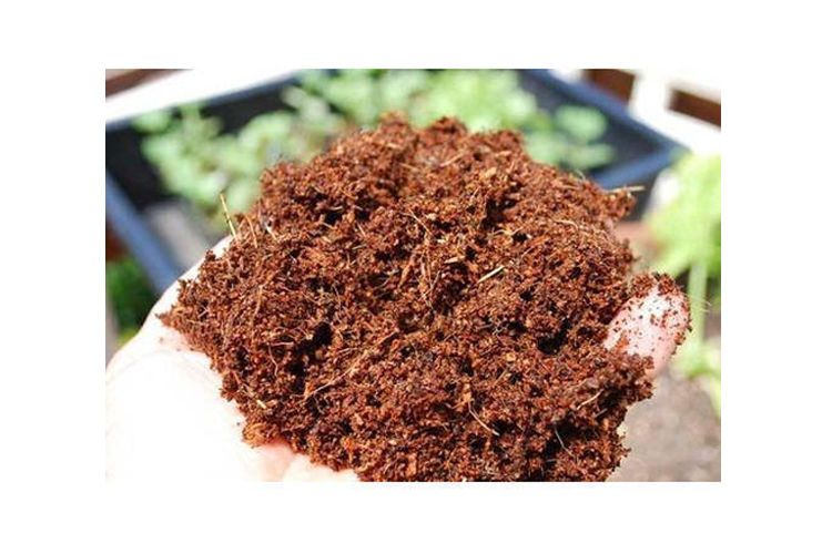 coirpith Exporters In chennai 