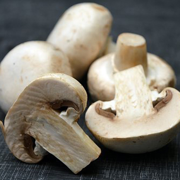 mushroom Exporters In chennai.