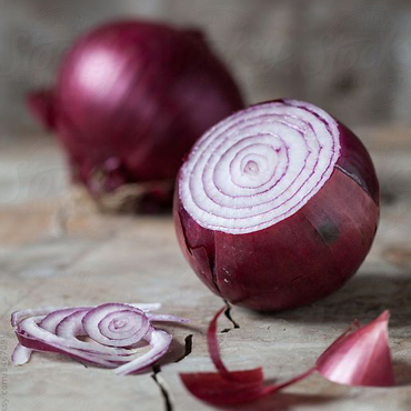 onion Exporters In chennai.