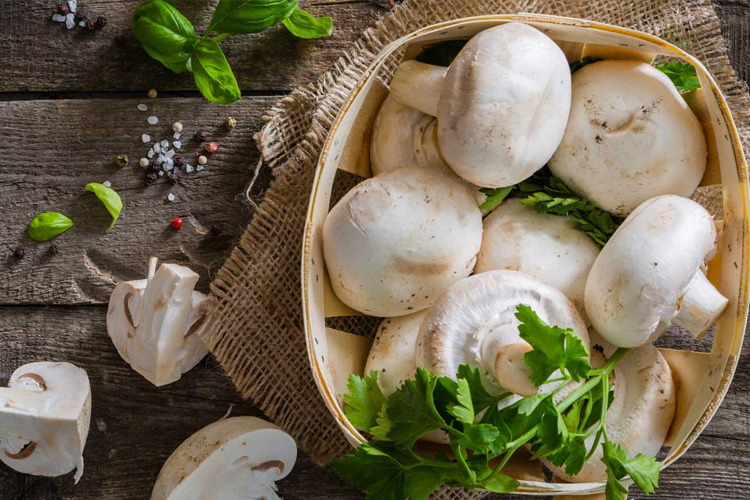 Mushroom Exporters In chennai.