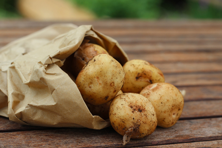 potato Exporters In chennai
